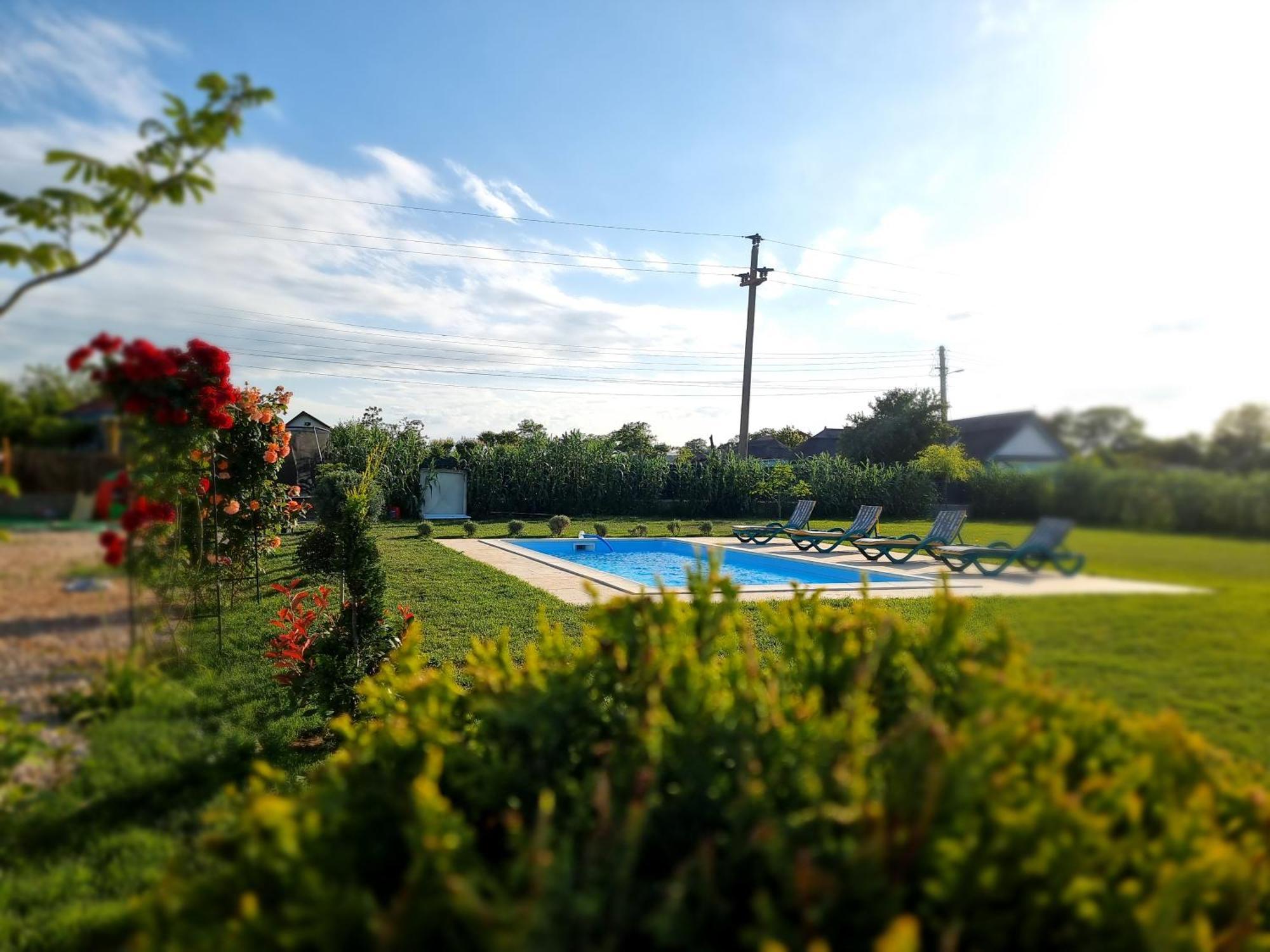 Casa Cu Trandafiri Murighiol Kültér fotó