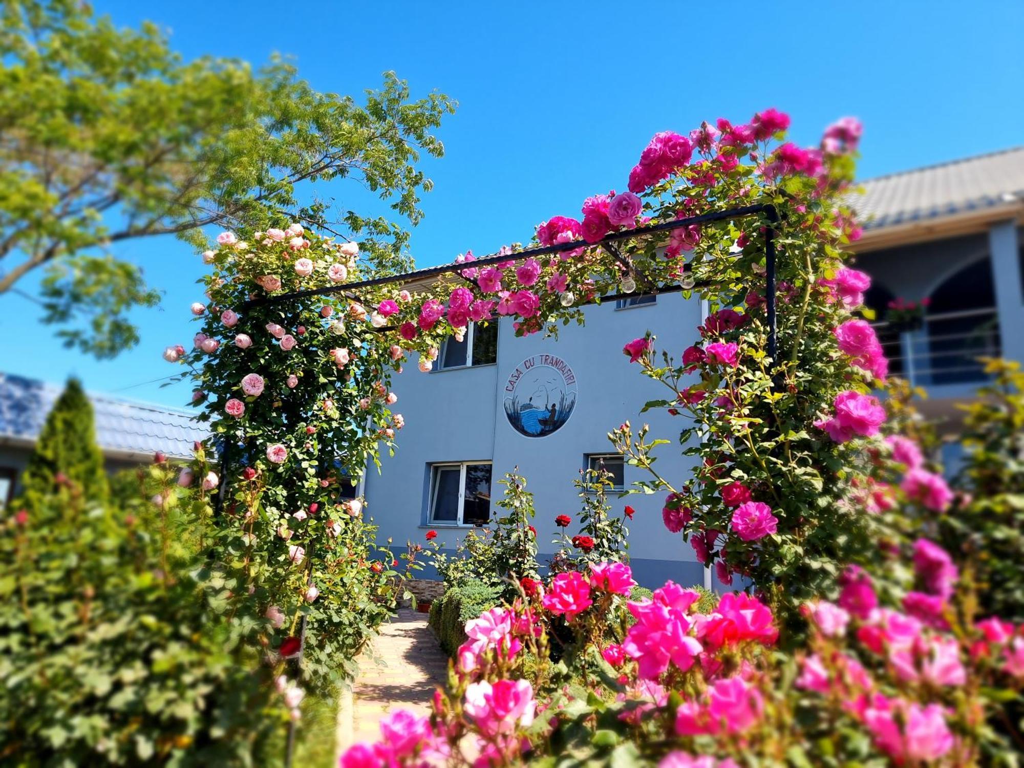 Casa Cu Trandafiri Murighiol Kültér fotó