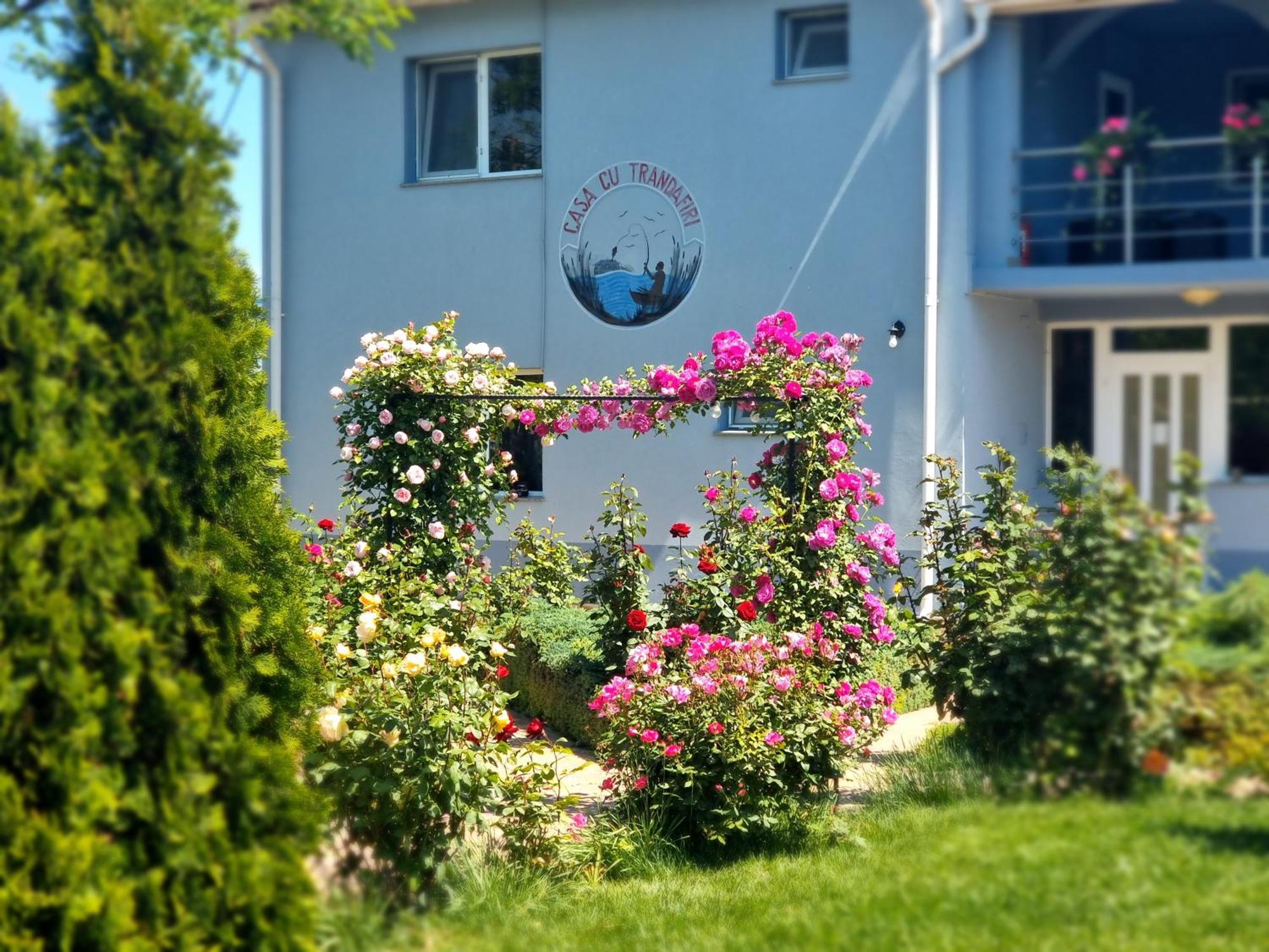 Casa Cu Trandafiri Murighiol Kültér fotó